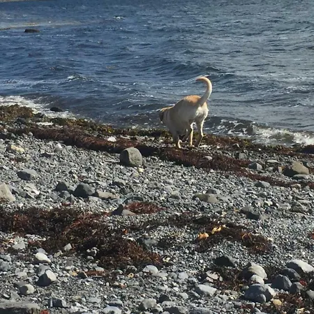 Atlantic Way Studio * Oranmore